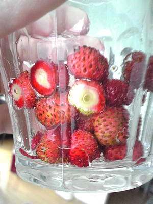 四季なりイチゴ