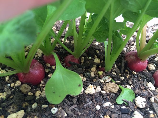 写真 2014-04-29 9 33 46