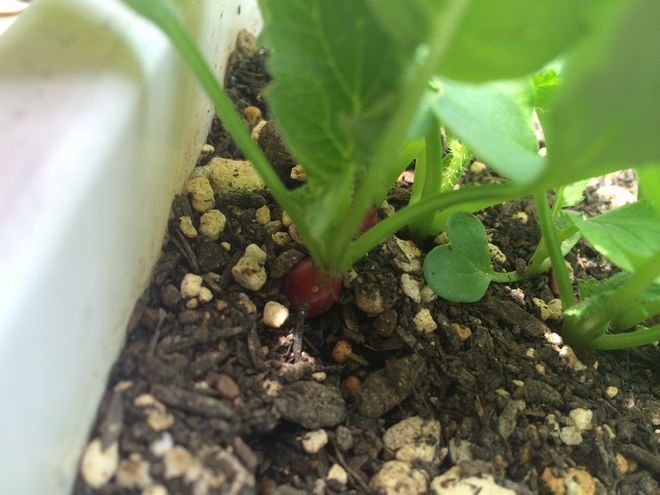 写真 2014-04-20 12 05 32