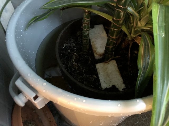 水を入れた様子