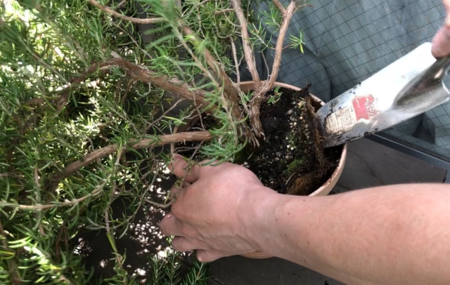 根切りスコップ