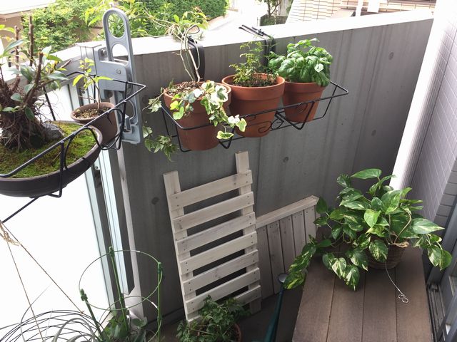 ベランダのシェードガーデン