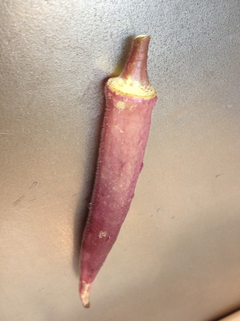 赤いオクラの実