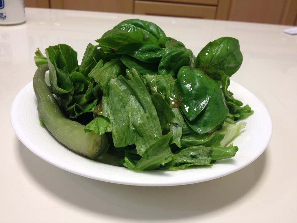 オクラとバジルとレタスのグリーンサラダ