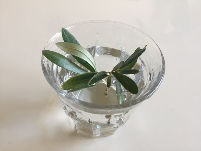 オリーブの水に浸す