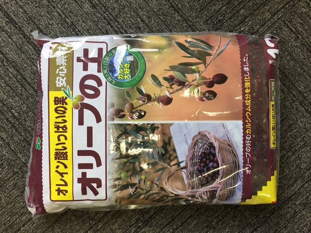 オリーブ培養土