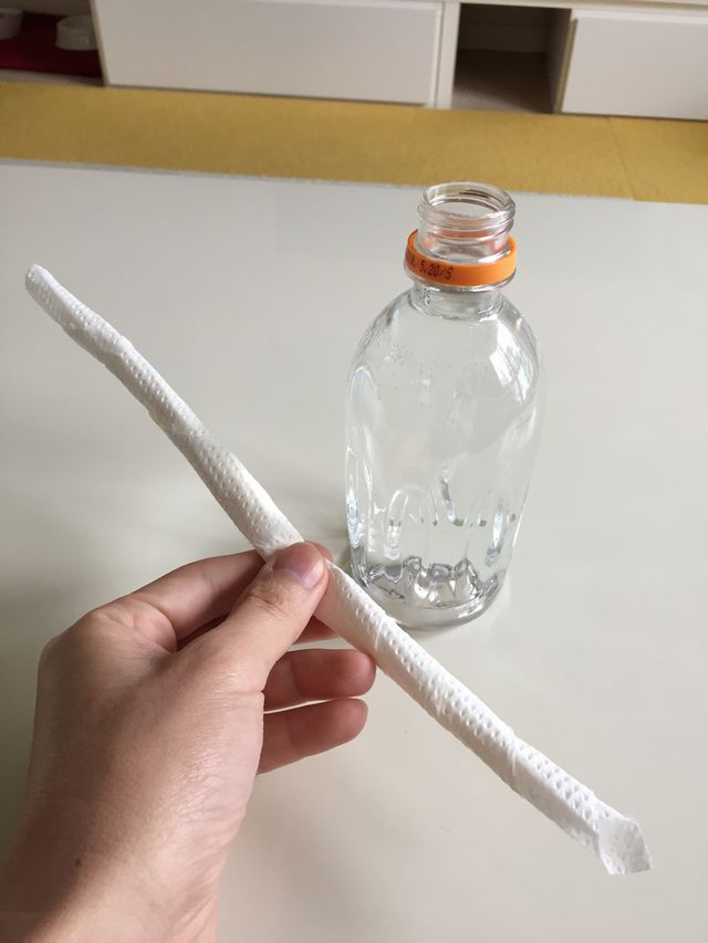 ペットボトルの水耕栽培