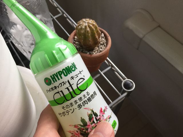 ハイポネックス肥料