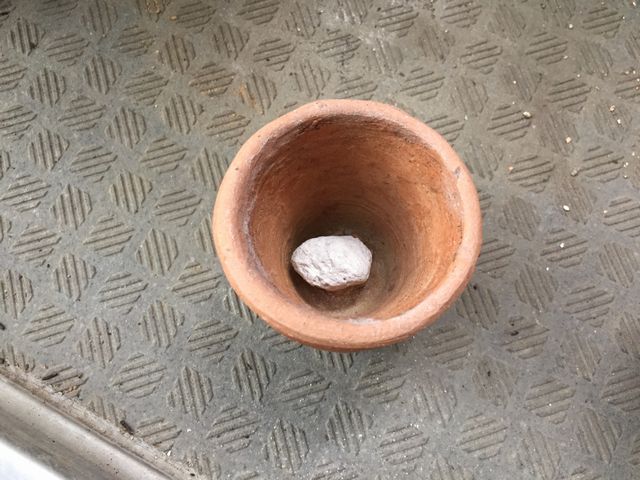 サボテン植木鉢