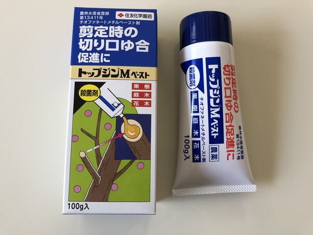 トップジンMペースト